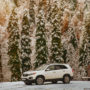 Автомобиль на свадьбу в Крыму, свадебное авто, КИА Соренто, зима