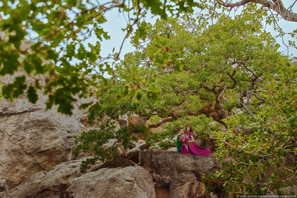 Романтическая фотосессия в лесу Для двоих. Крым. Фотограф - Сергей Юшков