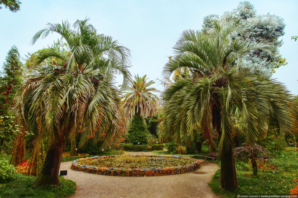 Ботанический сад. Сухум. Абхазия