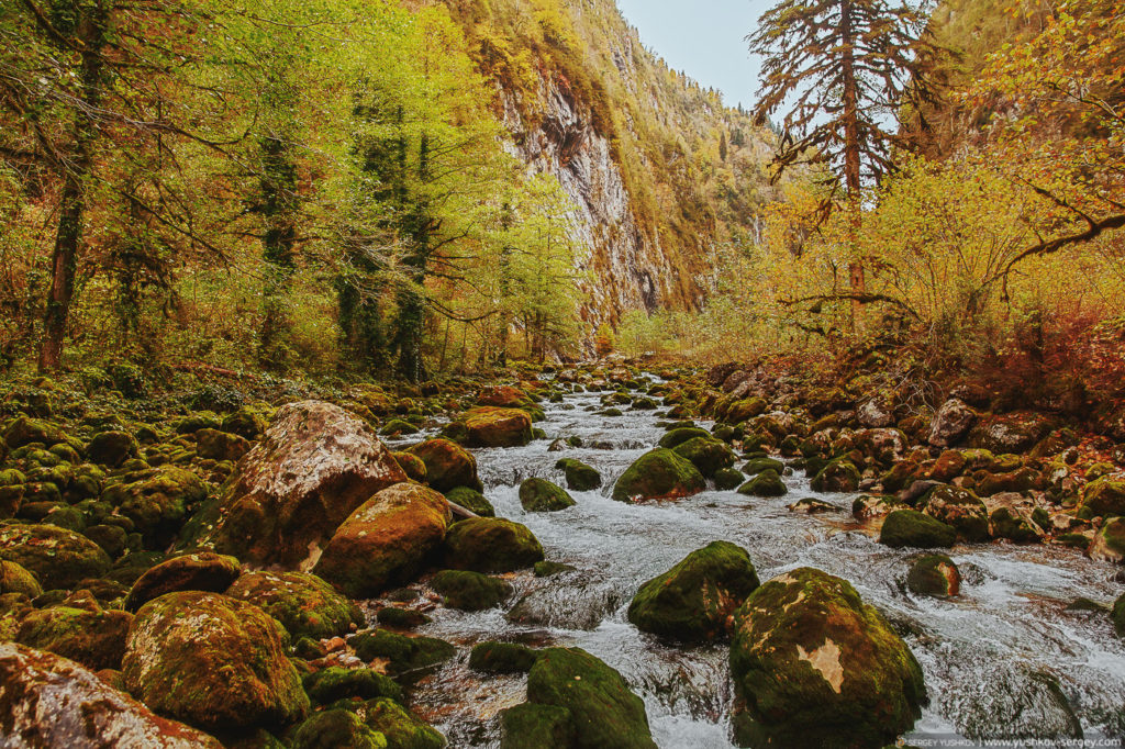 Река в Юпшарском каньоне. Осень. Абхазия